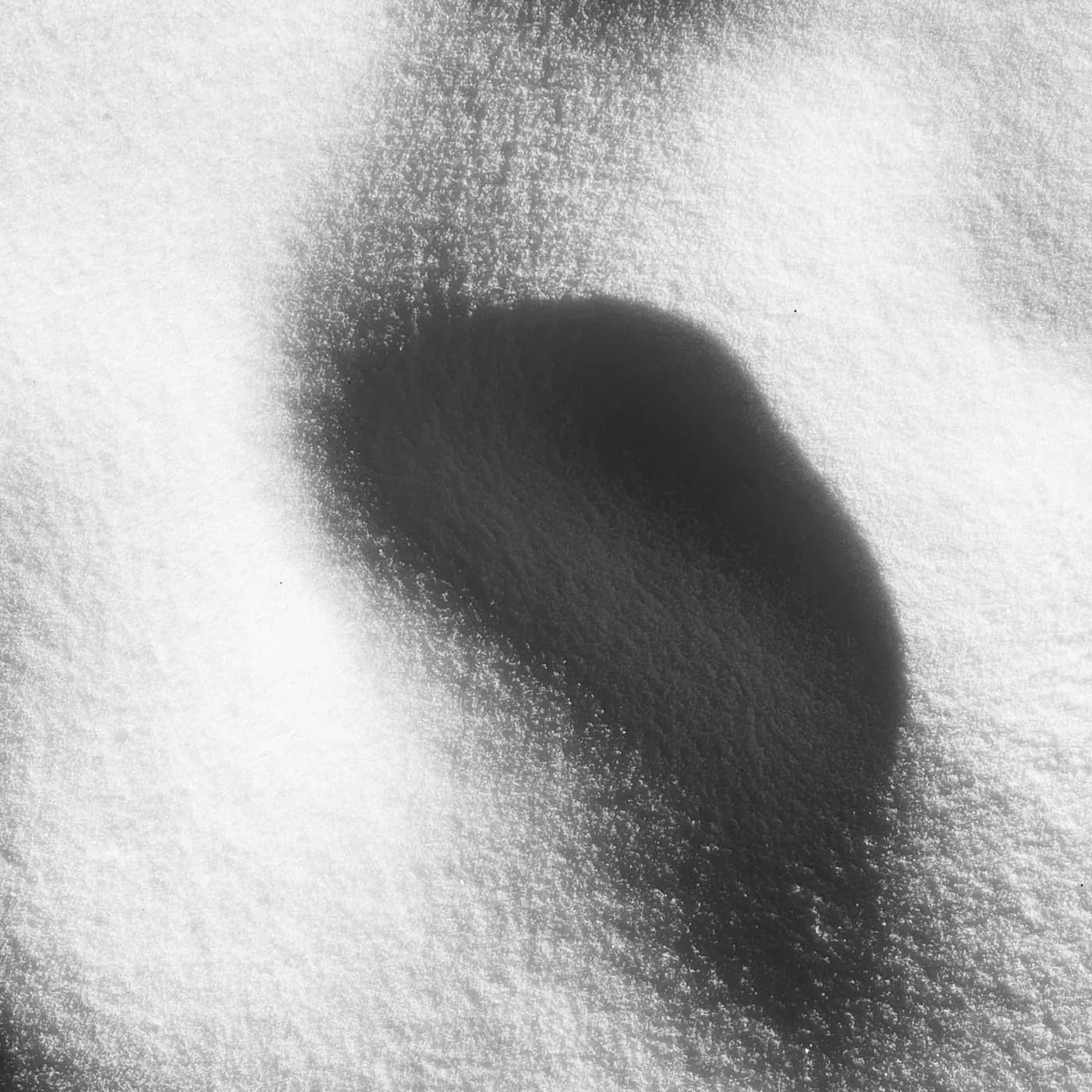 Fine white powder