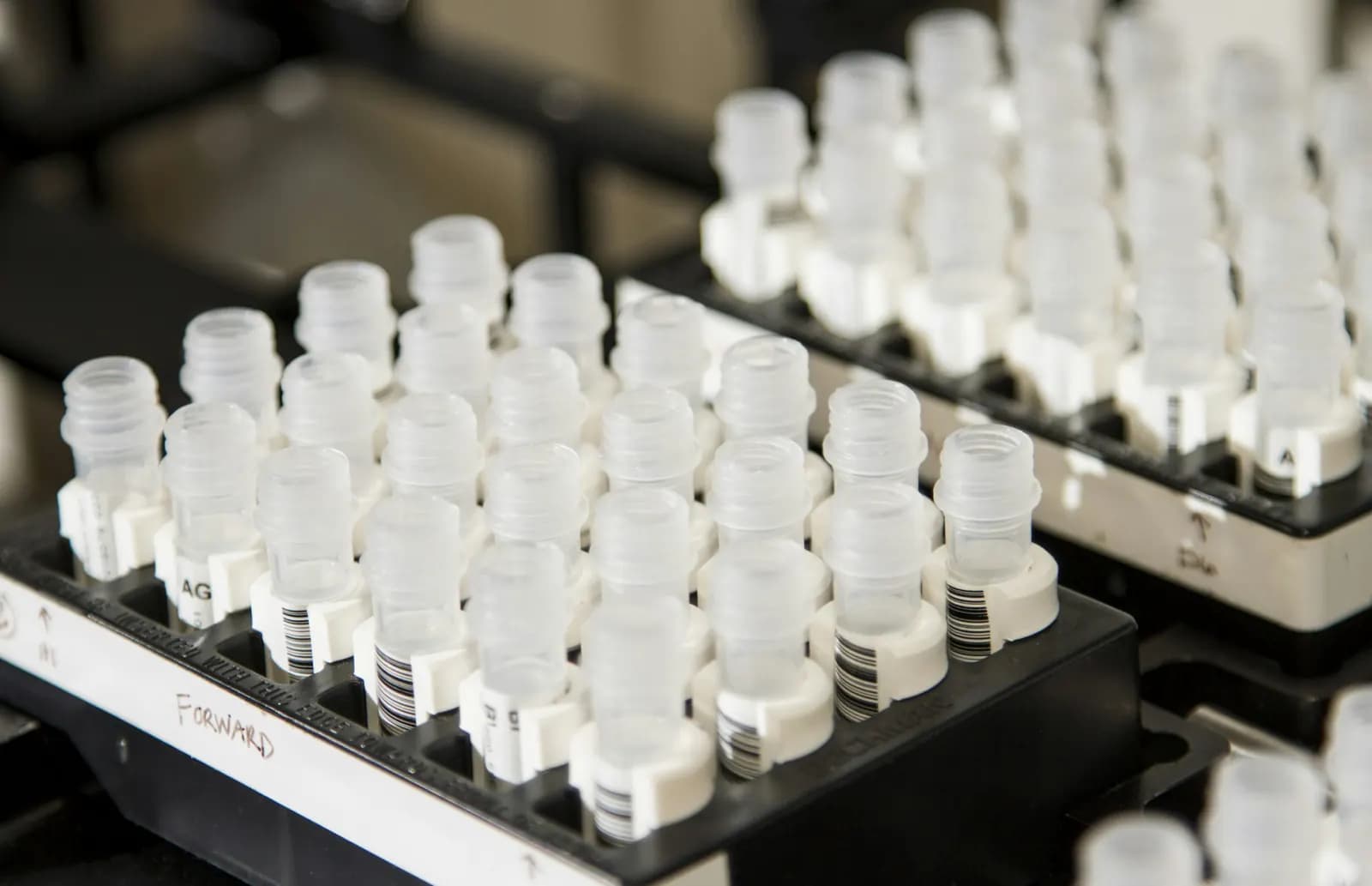 Equipment: rack of sample vials
